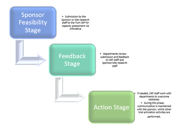 Sponsor feasibility stage Sponsor feasibility stage